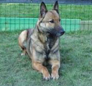 Yti van Kempens Glorie