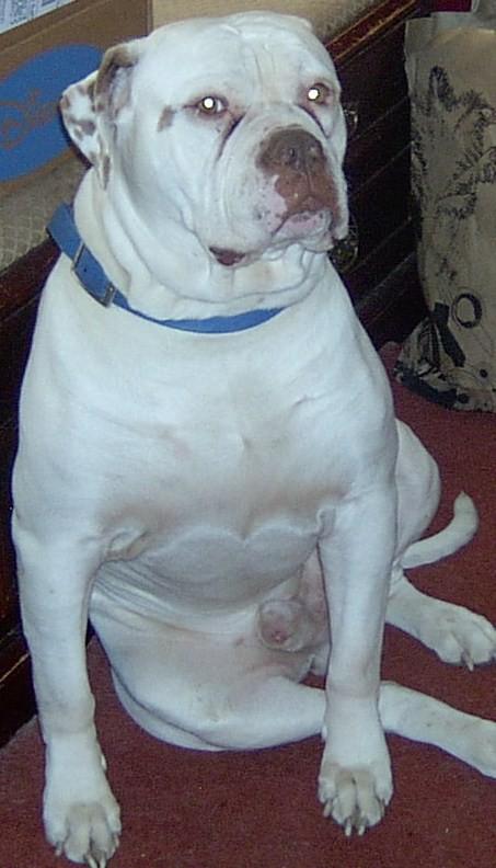 Zack Elijah Randy Oliver