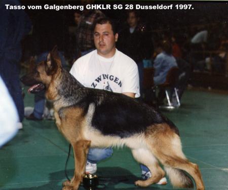 V Tasso vom Galgenberg