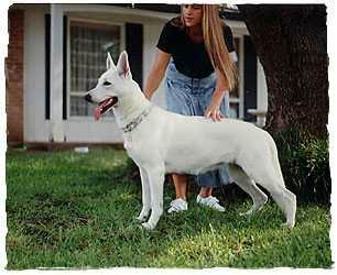 Kena Deblanche V. Pine River