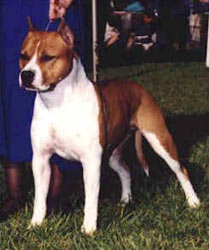 Rowdytown's Fire 'n Ice