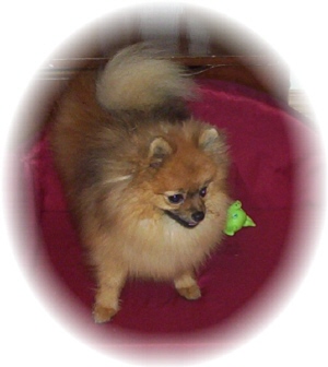 Cherubacres Muzek Of Lenette