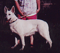 Daybreak Jodis Cloud of PRF