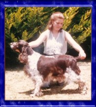 AUST CH Fairsky Orient Express