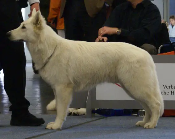 Hariom-Micka of Skah Dakota