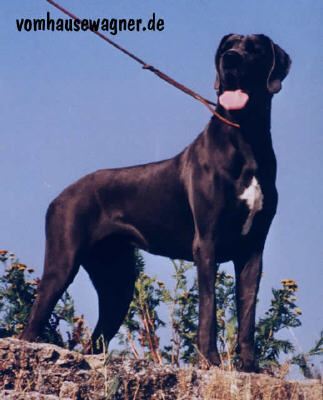 Greta Von Trauthein
