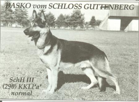 Basko vom Schloß Guttenburg