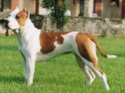 Alabama LOI 99/39803