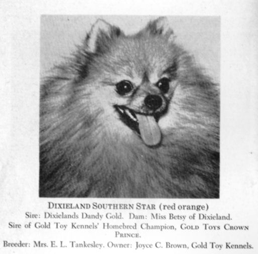 Dixieland Southern Star