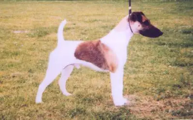 INT/GER CH ESG Floretto vom Silvertbach