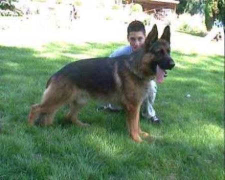 V Athos aus dem schwarzen Zwinger