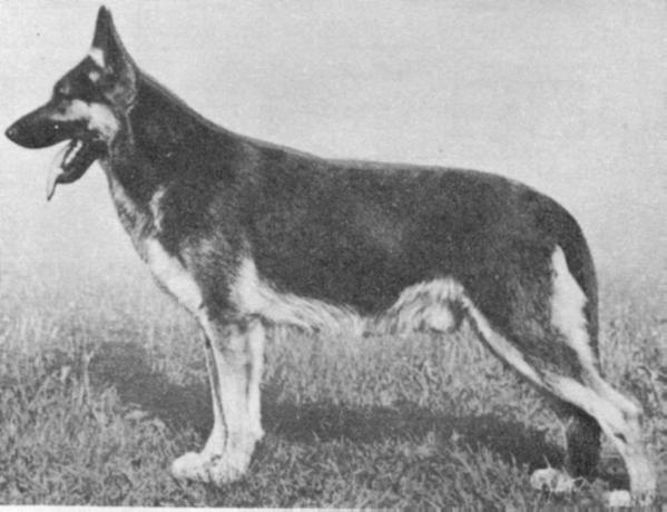 VA Achilles von der Höllenquelle