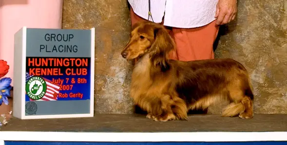 AM CH Heidox Liam Kinsale Stout MCHL