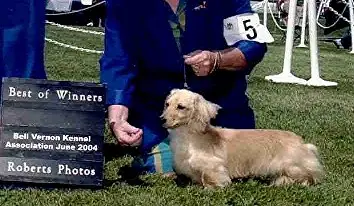 Devoncream Magic Master