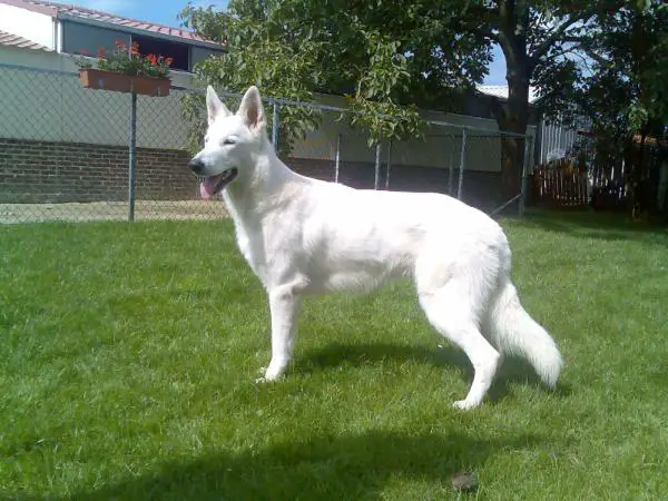 Erijane Xayan Jolene