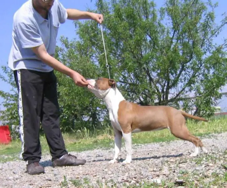 Mississippi Red Belle Lucy