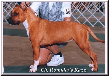 CH Rounder's FullMoon Razzmataz