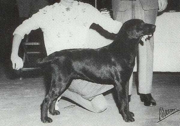 AM/CAN CH Whygin Campaign Promise