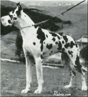 Lord von der Nürburg