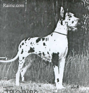 Fashion vom Münsterland