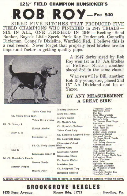 FC Hunsicker's Rob Roy