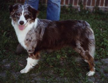 Fairoaks Kylee