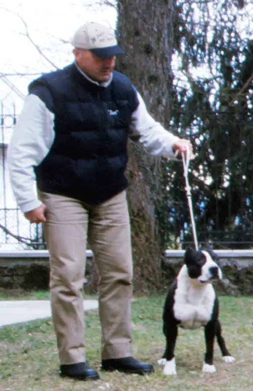 CH One Stone Sonny De Paco