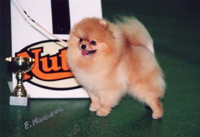 Jan-Shar's Harry Potter