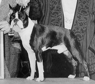 Noell's Play it Again Sam