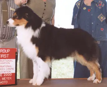 CH Kansaquest Before The Wind