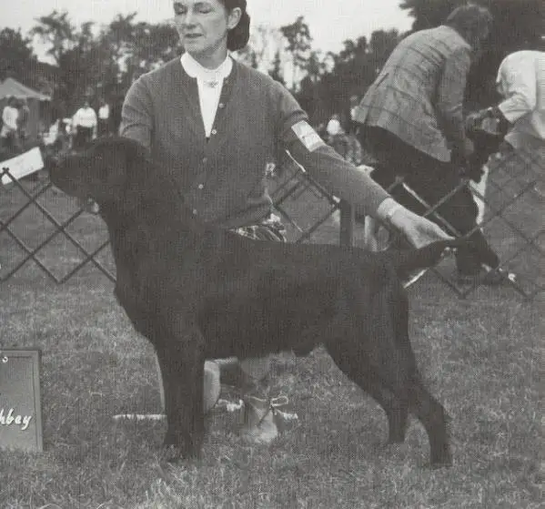 AM CH Lockerbie Stanwood Granada