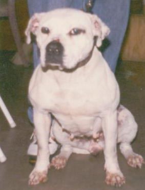 Frierson's Caco