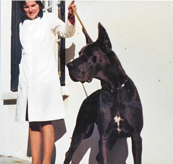 JWS76 CH FR77 Lilya du Val de l'Amitie