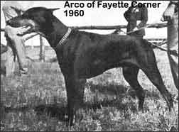 Arco of Fayette Corner