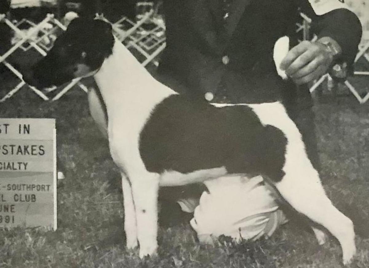 AM CH Rapidan Formal Fashion