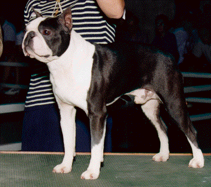 CH W.C .N Oui's Once in a Blue Moon