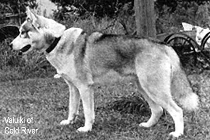 Valuiki of Cold River