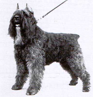 Assart Farell v.d. Vrijburcht