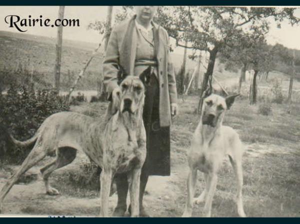 Bjarki von Birkenhof