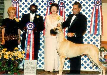 BIS BISS CH Auldmoor's Almost An Angel