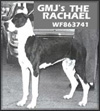 Gmj's the Rachael