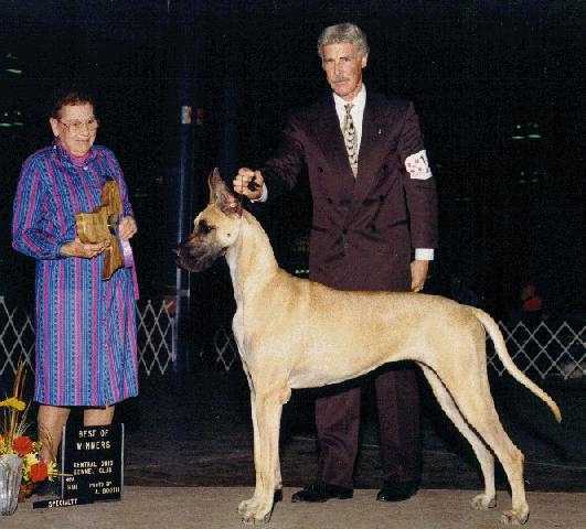 CH Meadowood's Happy Go Lucky