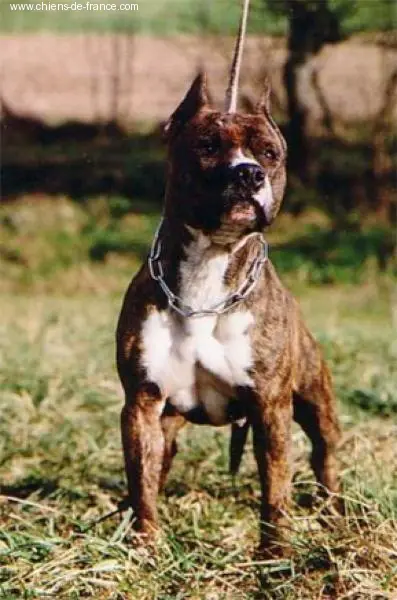 June du Val d'Arijan