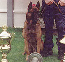 Wolf van Dupae's Kennelke