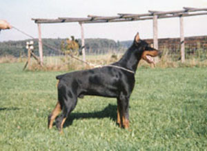 Oniv v. Gaxhardter Wald