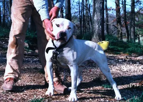 Hines' Texas Ranger of Alan Scott