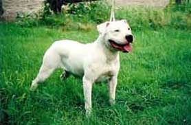 Kinghaven's Daisey Duke