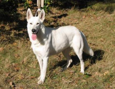 Nathalie of White Mountain Austria