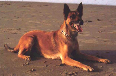 Orry van de Debbershoeve