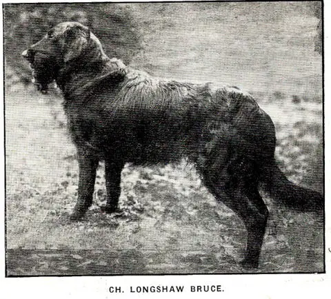 Eng Longshaw Bruce